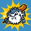 Master of Ceremonies for the Lexington County Blowfish baseball team